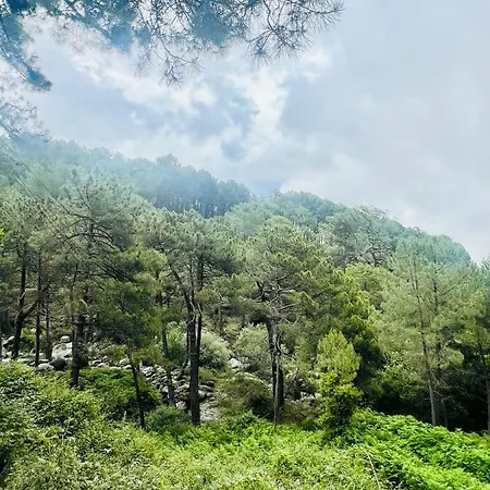 El Latido Del Tiétar Casa vacanze *