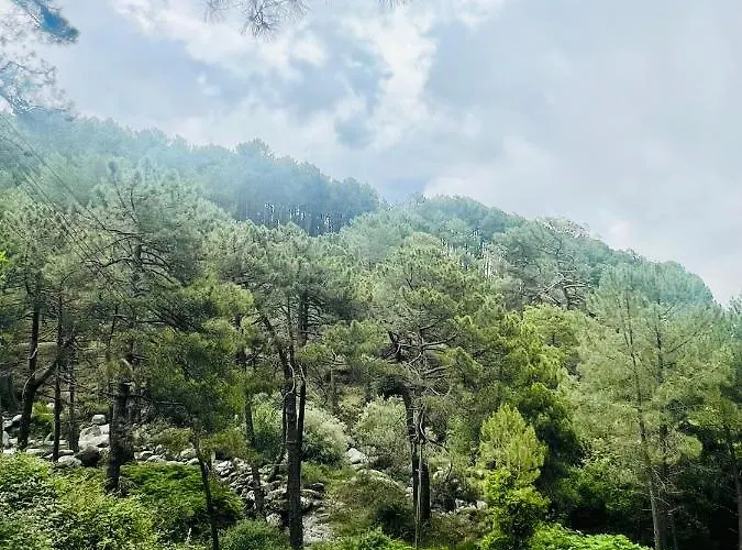 El Latido Del Tietar 펜션 *